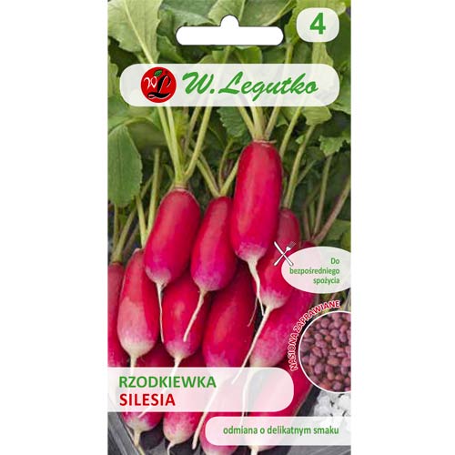 Šlezijska rdeča redkev slika 1 članek 50140