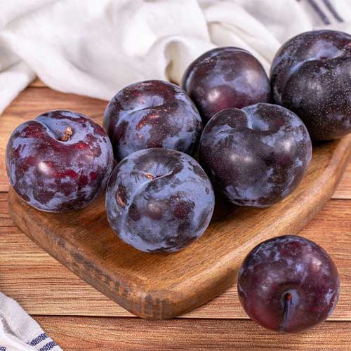 Sliva Black Star, С2 slika 1 članek 5673