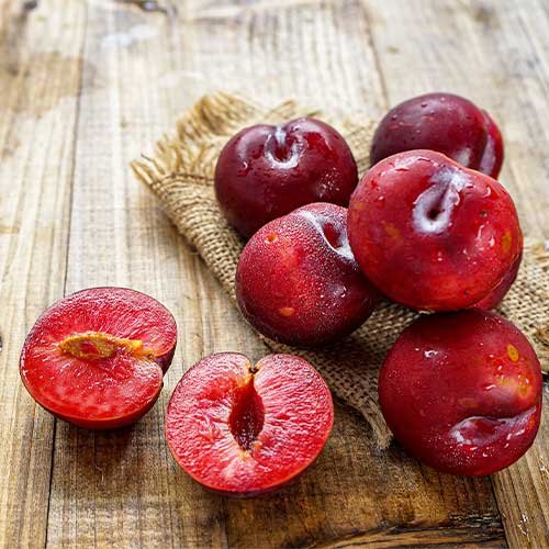 Sliva Red Lure, С2 slika 1 članek 4311