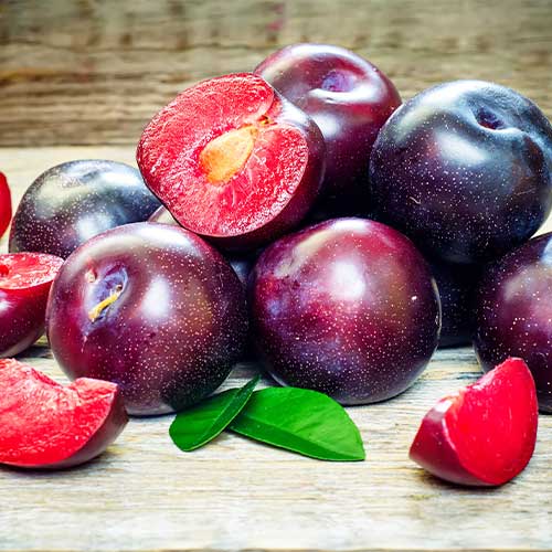 Sliva Sonic Lady, С2 slika 1 članek 4313