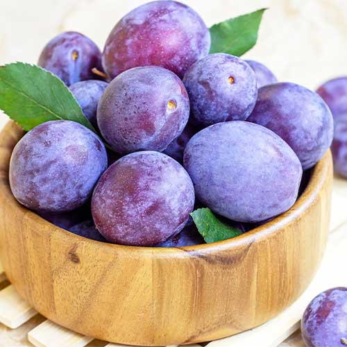 Sliva Stanley, С2 slika 1 članek 4314