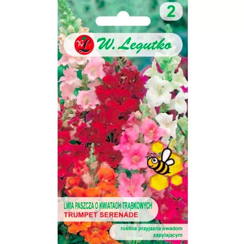 Snapdragon Low Trobenta Serenade slika 1 članek 78574