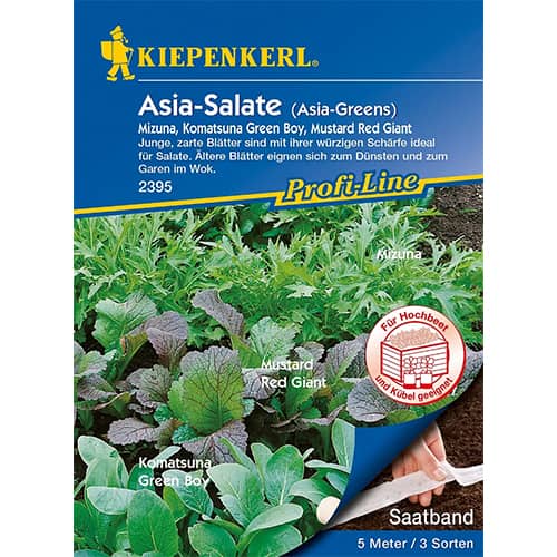 Solata Asia, mešanica slika 1 članek 87291