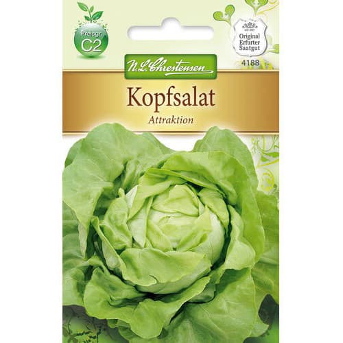 Solata Attraktion slika 1 članek 78768