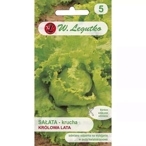 Solata Krolowa Lata slika 1 članek 78499