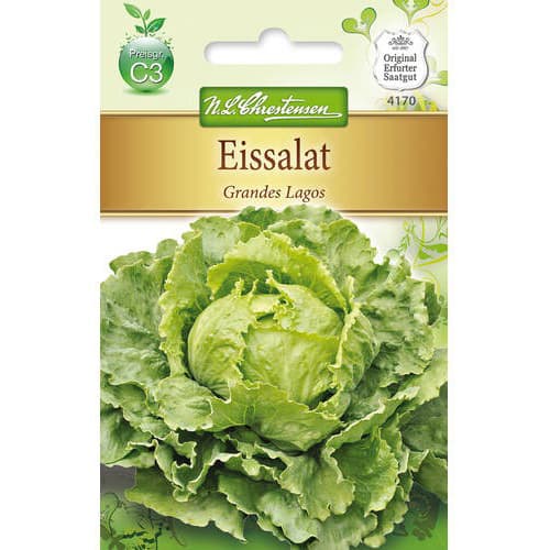 Solata ledenka Grandes Lagos slika 1 članek 78761