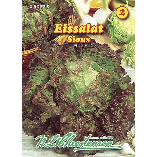 Solata ledenka Sioux slika 1 članek 96471