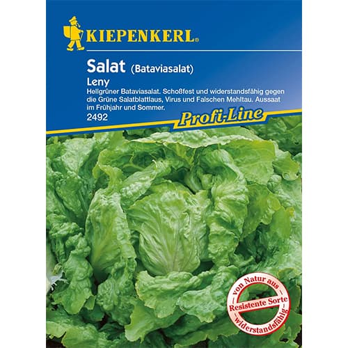 Solata Leny slika 1 članek 96595