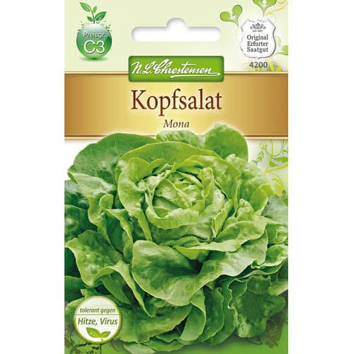 Solata Mona slika 1 članek 78771