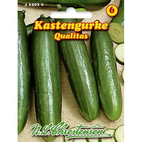 Solatna kumara Qualitas slika 1 članek 96478