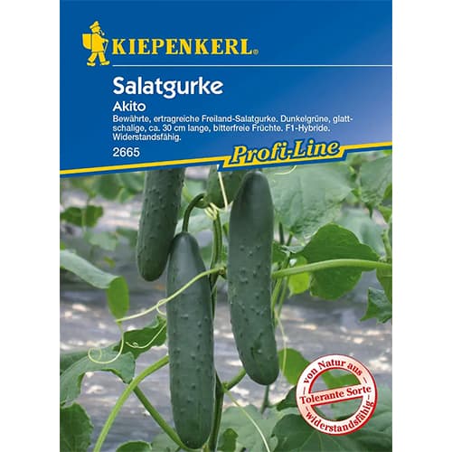 Solatne kumare Akito F1 slika 1 članek 96667