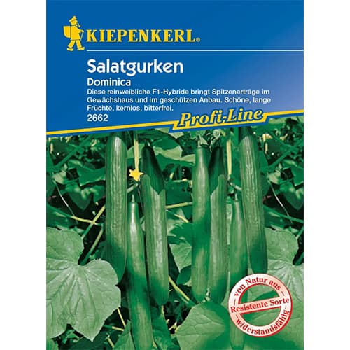 Solatne kumare Dominica slika 1 članek 96669