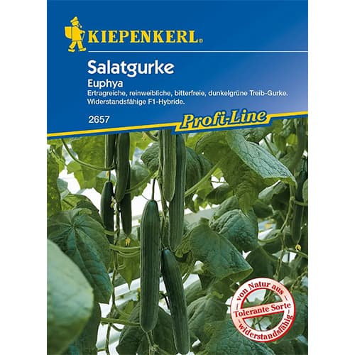 Solatne kumare Euphya F1 slika 1 članek 86521