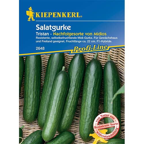 Solatne kumare Midele slika 1 članek 50023