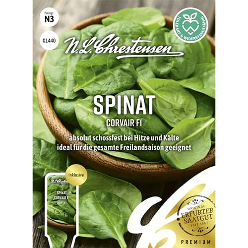 Špinača Corvair F1 Chrestensen slika 1 članek 96497