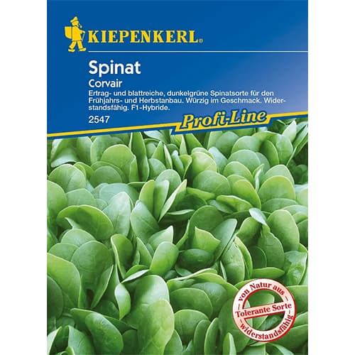 Špinača Corvair F1 Kiepenkerl slika 1 članek 86533