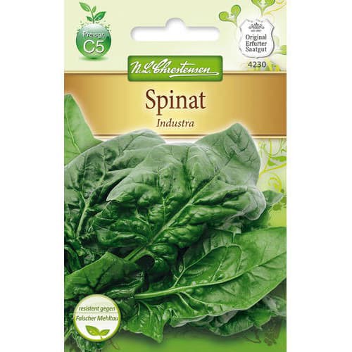 Špinača Industra slika 1 članek 78781