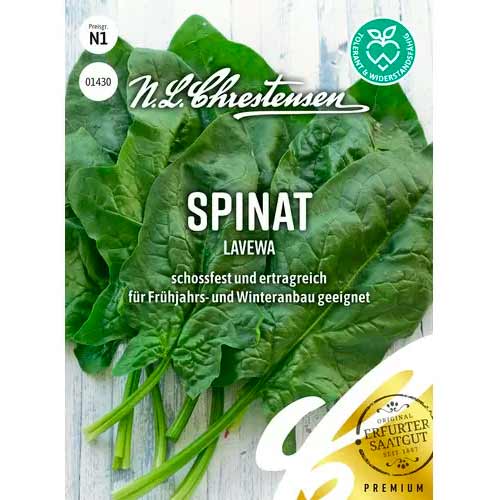 Špinača Lavewa slika 1 članek 50055