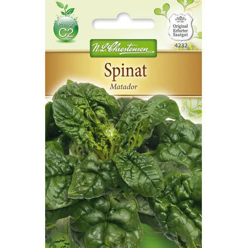 Špinača Matador Chrestensen slika 1 članek 78782