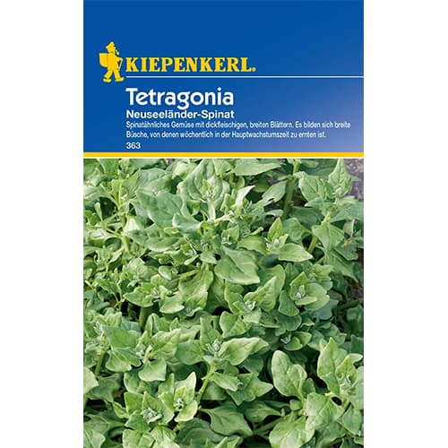 Špinača Tetragonia slika 1 članek 77497