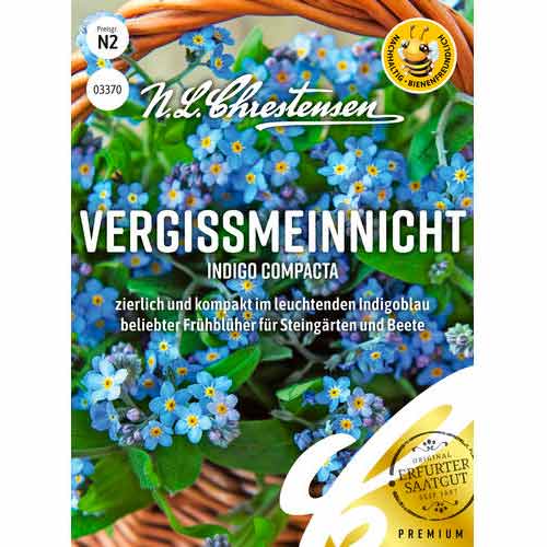 Spominčica Indigo compacta slika 1 članek 50036