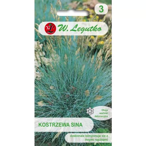 Srebrno modra bilnica slika 1 članek 78568