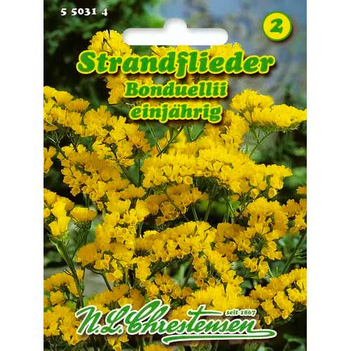 Statice Limonium sinuatum Bonduellii slika 1 članek 50031