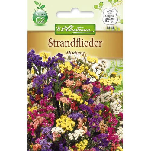 Statice Limonium sinuatum slika 1 članek 78979