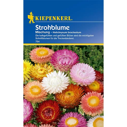 Suha roža, večbarvna mešanica slika 1 članek 77408