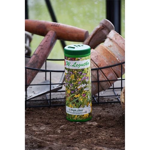 Suhe rože Magia Toamnei, večbarvna mešanica slika 1 članek 96801