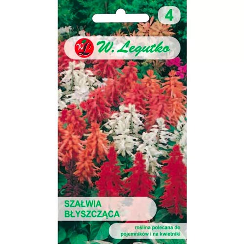 Svetleči žajbelj, premešajte slika 1 članek 78592