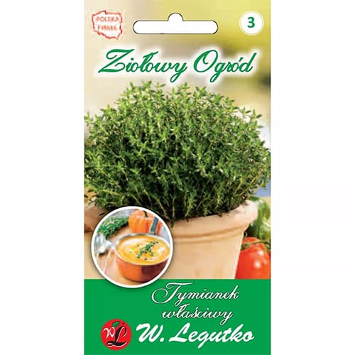 Timijan navadni slika 1 članek 69690