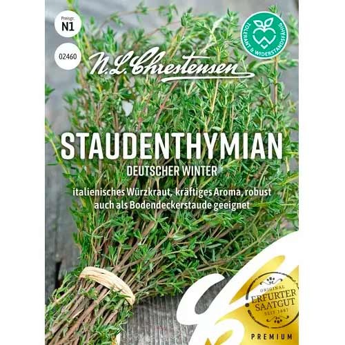 Timijan, večletni Deutscher Winter slika 1 članek 50056