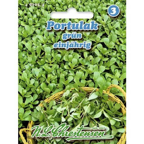 Tolščak (portulak), zeleni slika 1 članek 96439