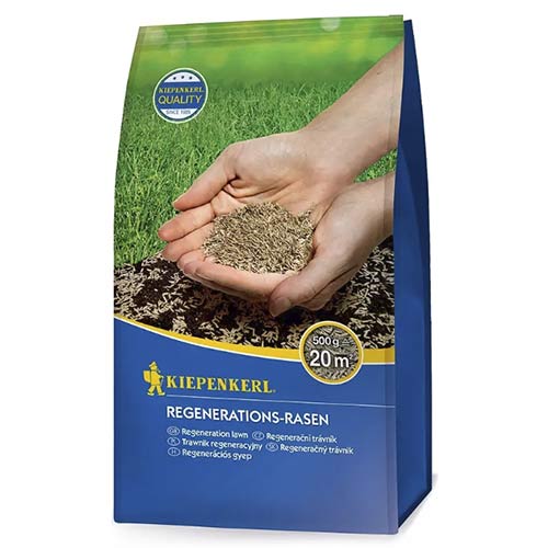 Travna mešanica za regeneracijo slika 1 članek 96891