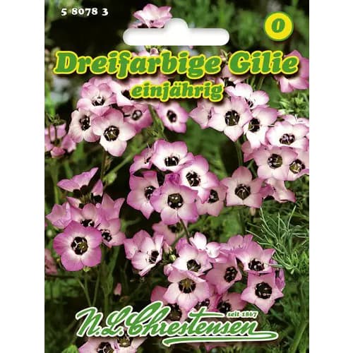 Tribarvna gilia slika 1 članek 96458