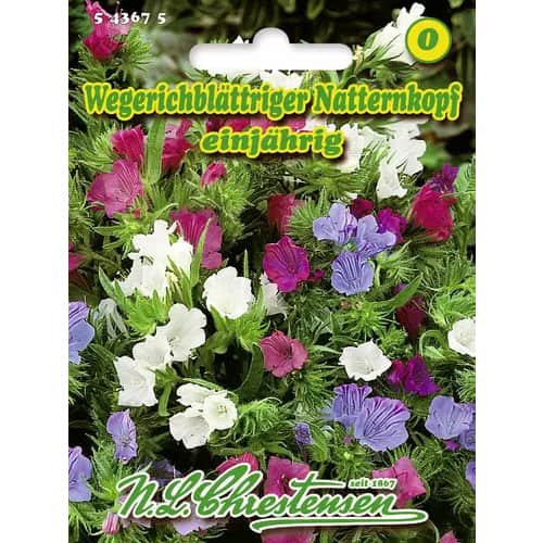 Trpotčev gadovec - večbarvna mešanica slika 1 članek 96418