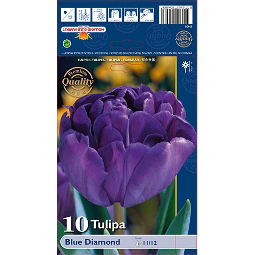 Tulipan frotirni Pink Blue Diamond slika 1 članek 67769