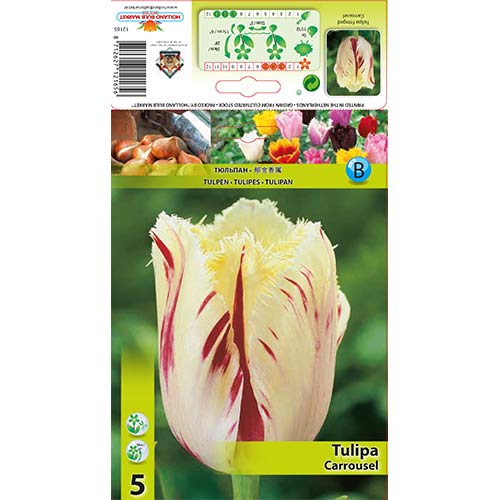 Tulipan Carrousel slika 1 članek 70298