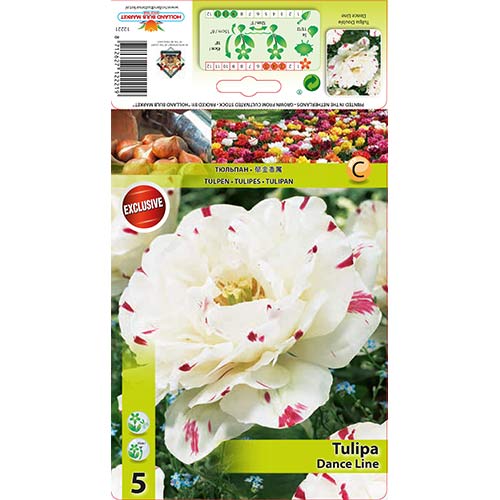 Frotirni tulipan Dance Line slika 1 članek 67457