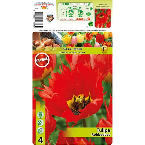 Tulipan Darwin Robbedoes slika 1 članek 68399