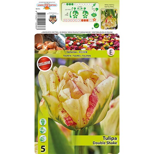 Tulipan Double Shake slika 1 članek 68404