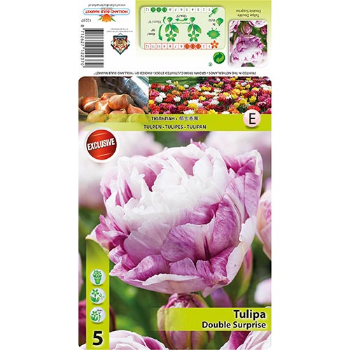 Tulipan Double Surprise slika 1 članek 68405