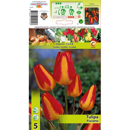 Mnogocvetni tulipan Florette slika 1 članek 70305