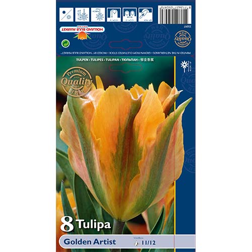 Zelenocvetni tulipan Golden Artist slika 1 članek 68032