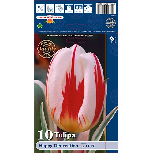 Tulipan Triumph Happy Generation slika 1 članek 68049