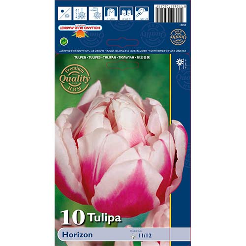 Tulipan frotirni Purple Horizon slika 1 članek 68109
