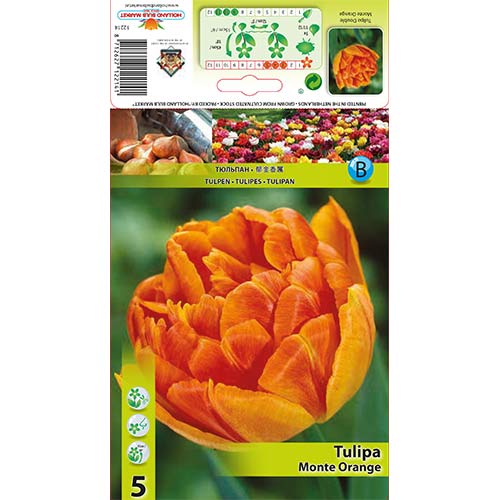 Frotirni tulipan Monte Orange slika 1 članek 67774