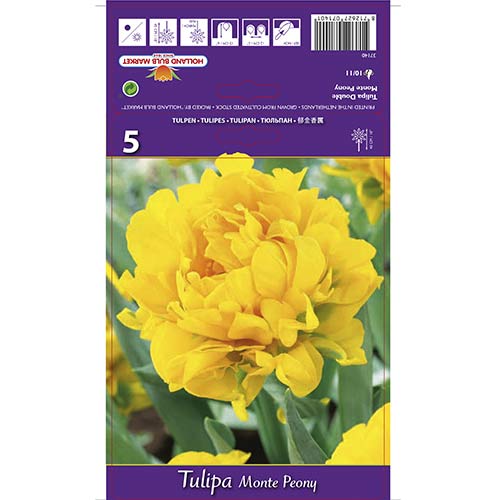 T Tulipan frotirni Purple Monte Pion slika 1 članek 67775