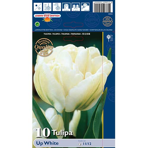 Tulipan frotirni Pink Up White slika 1 članek 67768